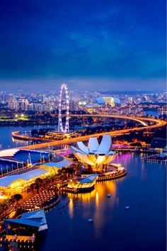 an aerial view of the singapore skyline at night