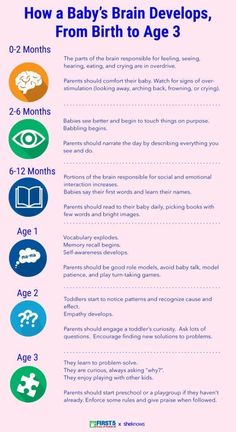 the baby's brain development info sheet