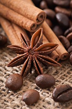 anise, cinnamon and coffee beans on a table