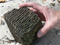 a hand is holding a piece of wood in the sand