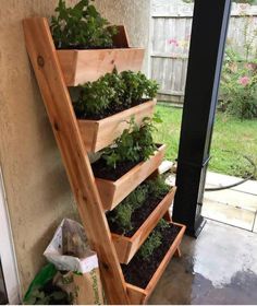 a wooden planter filled with lots of plants