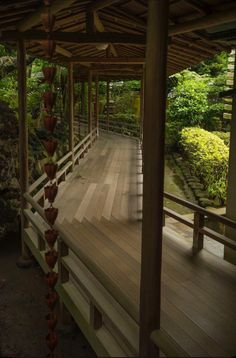 a wooden walkway in the middle of a lush green forest