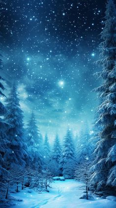 the night sky is full of stars, and there are snow covered trees in the foreground