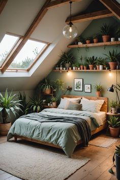 a bed sitting under a window in a bedroom next to potted plants on shelves