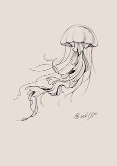 a black and white drawing of a jellyfish