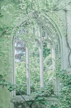 an old building with ivy growing on the walls and windows in it, surrounded by greenery