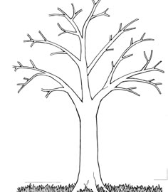 a drawing of a tree with no leaves