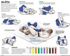 an instruction manual on how to use the jiu - jitsu