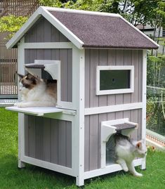 a dog house with a cat inside and another one in the back ground looking at it