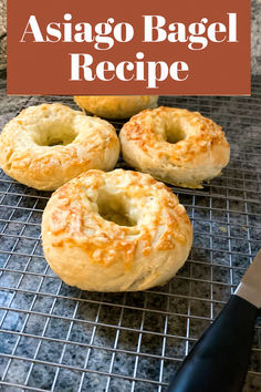 Homemade bagels may take a little time and effort, but if you love a chewy bagel and adore the Asiago cheese bagels from Panera, this from-scratch recipe is definitely worth trying. With a super chewy interior and pockets of cheese throughout, plus a crackly exterior, these cheese bagels are nearly perfect. #bagels #homemadebagels #asiagocheesebagels #cheesebagels #cheesebagelrecipe Asiago Bagel Recipe, Asiago Bagel, Gluten Free Bagel Recipe, Gluten Free Yeast Free, Gluten Free Bagels, Plain Bagel