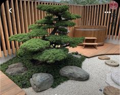 a bonsai tree in the middle of a garden with rocks and gravel around it