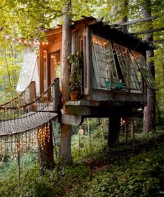 a tree house in the woods with lights strung from it's roof and windows