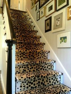 a set of stairs decorated with black and white polka dot rugs in a home