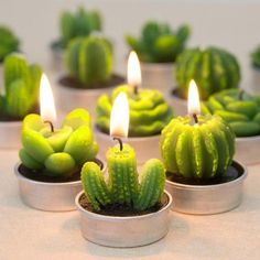 small cactus shaped candles sitting in tins on a table