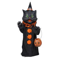 a black cat dressed up as a witch holding a pumpkin and wearing a witches hat