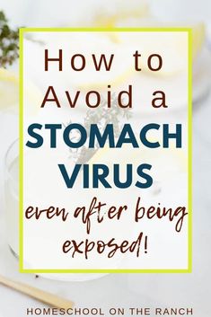 It's that time of year again. The dreaded, no-good, stomach virus season. 6 natural ways our family keeps from catching the stomach virus after being exposed. Home Remedies For Spiders, Stomach Virus, Stomach Bug, Kitchen Herbs, Natural Healing Remedies, Diy Remedies, Cold Home Remedies, Natural Health Remedies, Natural Home Remedies