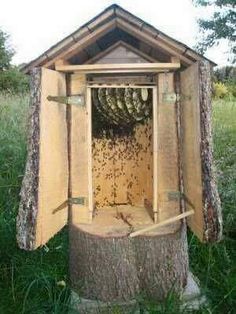 an outhouse built into the side of a tree stump