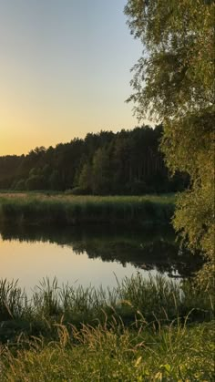 the sun is setting over a lake with tall grass and trees in the foreground