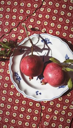 two pomegranates on a plate with leaves