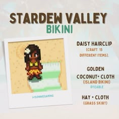 Stardew Valley Outfits No Mod, Stardew Winter Outfit, Stardew Valley Avatar Ideas