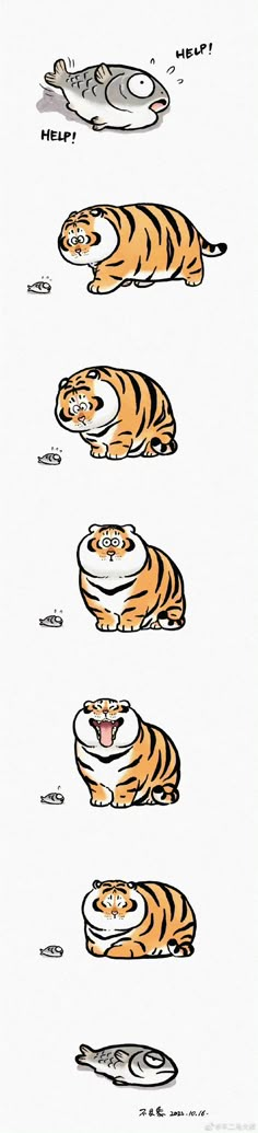 an image of tiger stripes in different positions