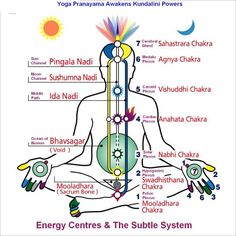 Swadhisthana Chakra, Vishuddha Chakra, Sahaja Yoga, Yoga Kundalini, Kundalini Awakening, Energy Centers, Yoga Iyengar, Mind Blowing Facts, Chakra System