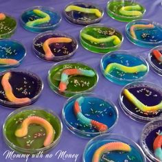 many different colored worms in plastic bowls on a purple tablecloth with words mommy with no money