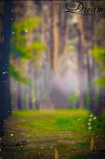 an open field with trees and grass in the background, surrounded by raindrops