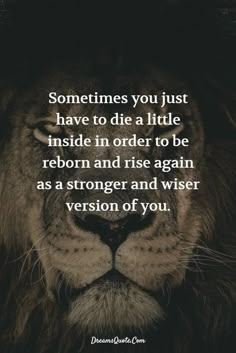 a lion with the quote sometimes you just have to die a little inside in order to be reborn and rise again as a strong and wise version of you