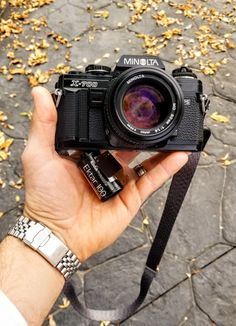 a person holding up a camera in front of some leaves on the ground with their hand