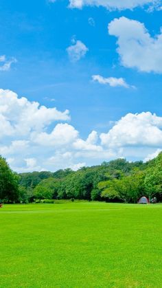 a large open field with trees in the background