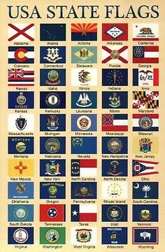 the state flag poster is shown with many different states and their emblems on it