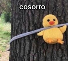 a stuffed duck tied to a tree with the caption cosoro on it