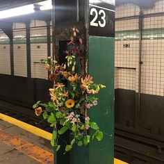 flowers are growing on the side of a green post in a subway station with yellow and white tiles