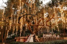 a wedding party under a large tree with lights hanging from it's branches in front of the bride and groom