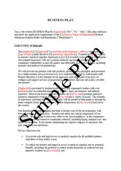 a sample business plan is shown in this document, it shows the company's name and