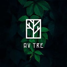 the logo for avtre is shown on top of some green leafy branches in front of a dark background