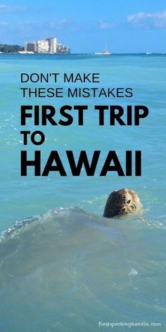 a turtle swimming in the ocean with text overlay that reads don't make these mistakes first trip to hawaii