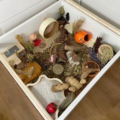 an open box filled with lots of different types of plants and rocks on top of a wooden floor