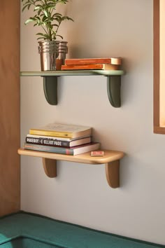 two shelves with books and plants on them