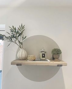 there is a vase with some plants on the shelf