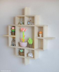 a wall mounted shelf filled with different types of succulents