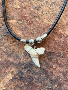 "Natural 1 1/8\" Mako Shark Tooth Pendant 18\" black leather necklace" Shark Necklace Tooth, Shark Tooth Necklace Aesthetic, Shark Tooth Jewelry, Twilight Costumes, Ocean Accessories, Drilling Glass, Shark Teeth Jewelry, Shark Tooth Pendant, One Piece Live Action