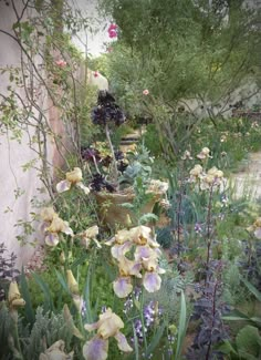 a garden filled with lots of flowers next to a wall covered in plants and trees