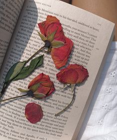 three red roses are placed on top of an open book, with leaves and petals