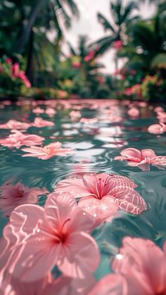 pink flowers floating on top of water near palm trees and other greenery in the background