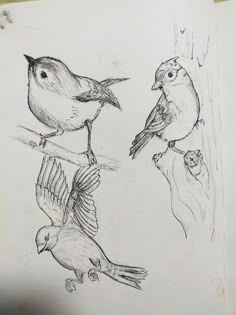 two birds sitting on top of a tree branch next to another bird with its wings spread