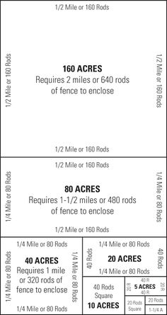 an image of two tickets for the race, and one ticket for the race is $ 10