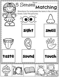 the five senses matching worksheet for children to practice their sight and phonicic skills