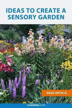 a garden with lots of flowers in it and the words, ideas to create a sensory garden read article